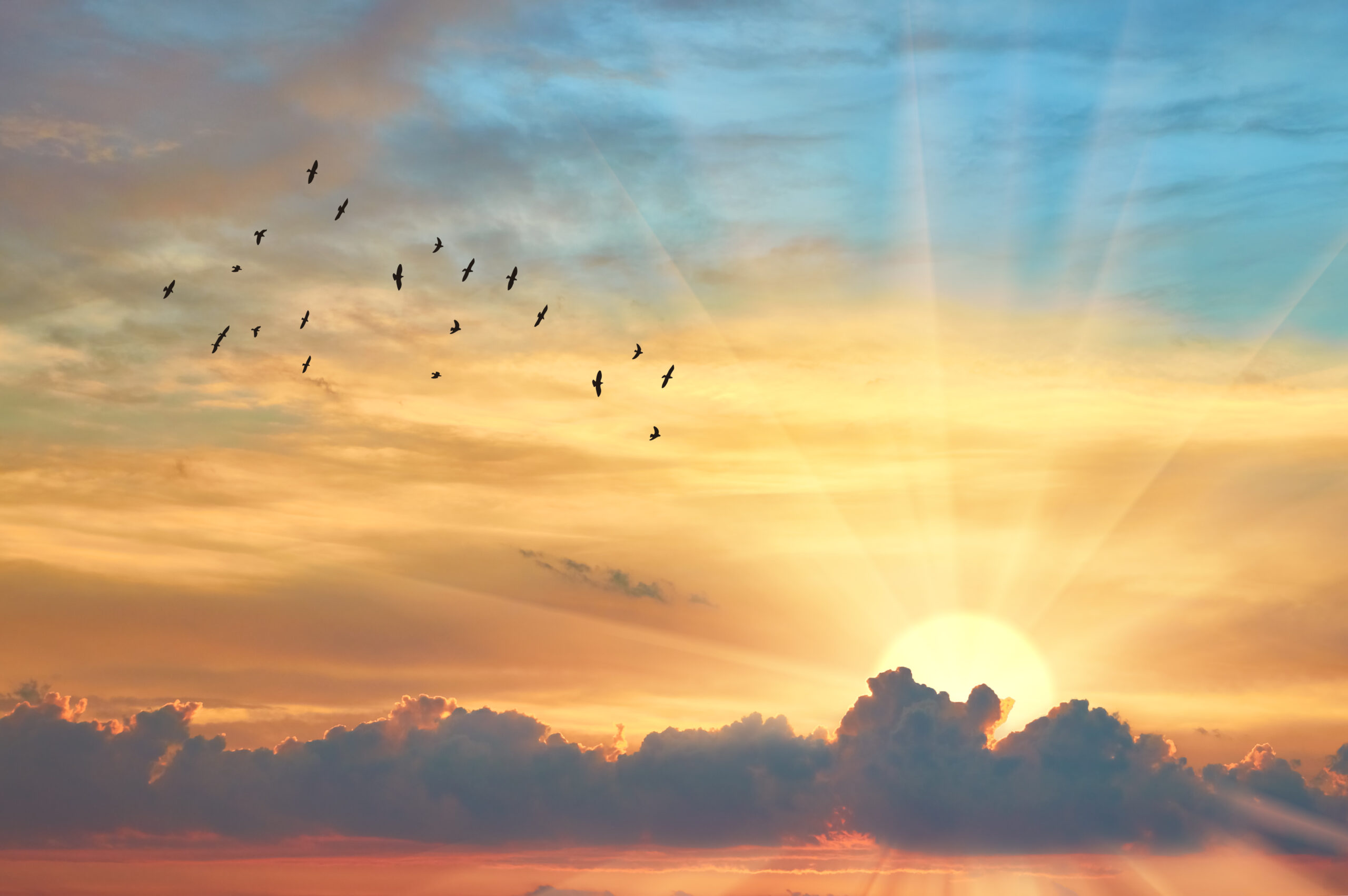 Featured image for “The Everlasting Gospel”