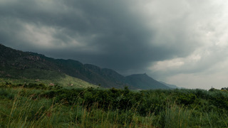 Featured image for “Cosmas’ Courage”